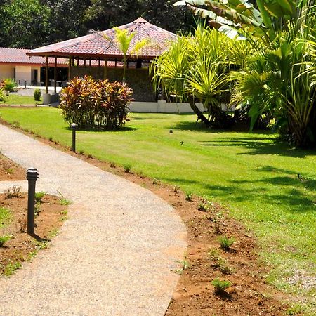 La Foresta Nature Resort Quepos Exterior foto